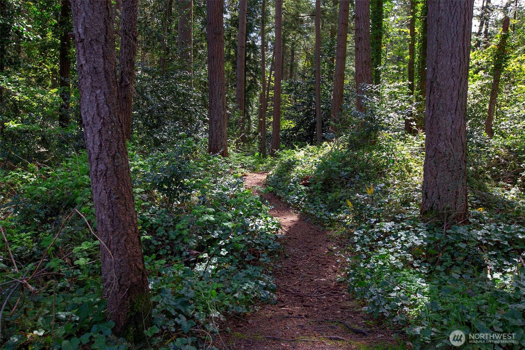 1550 NE 165th Street