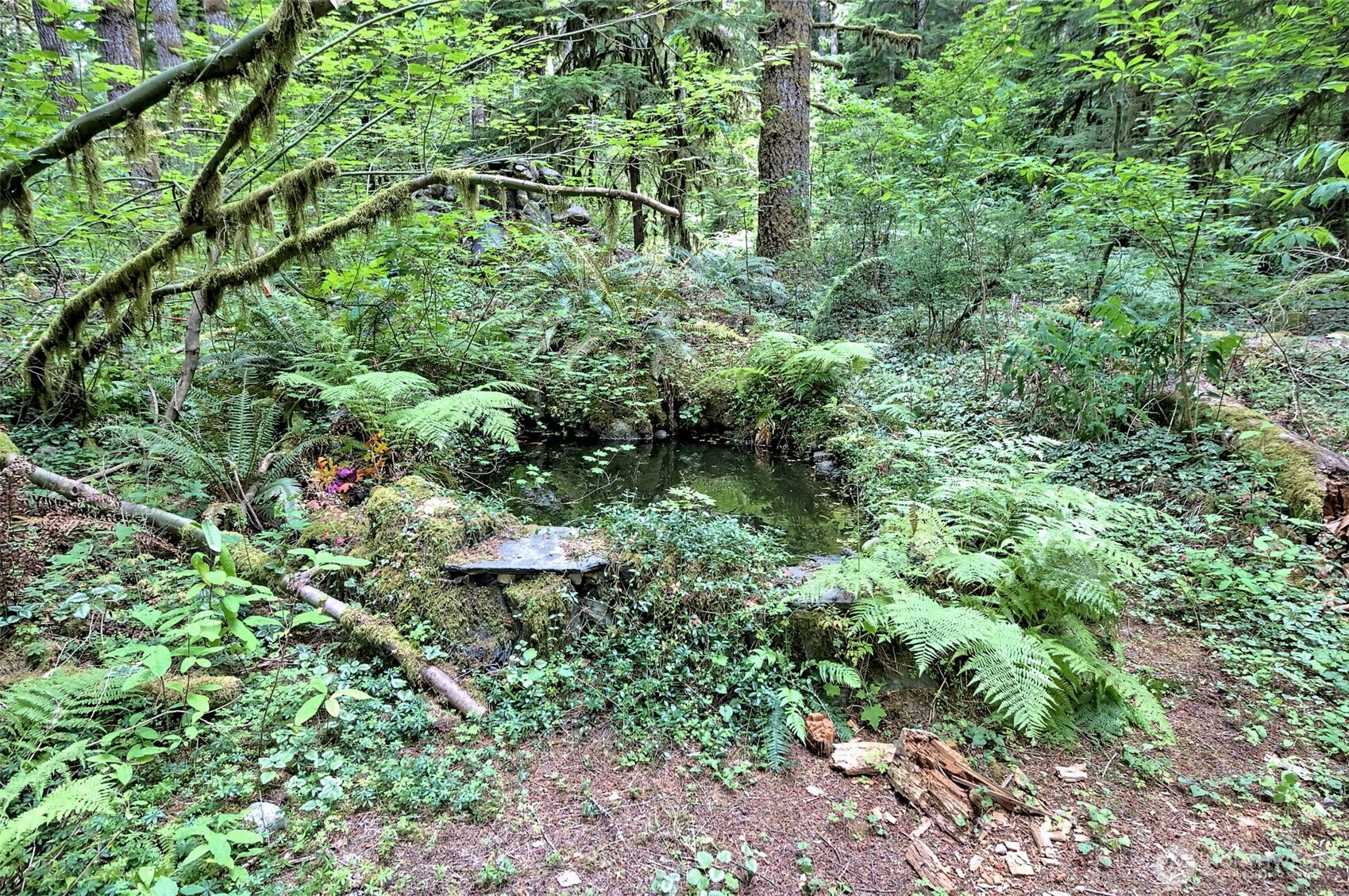 832 N Lake Cushman Road