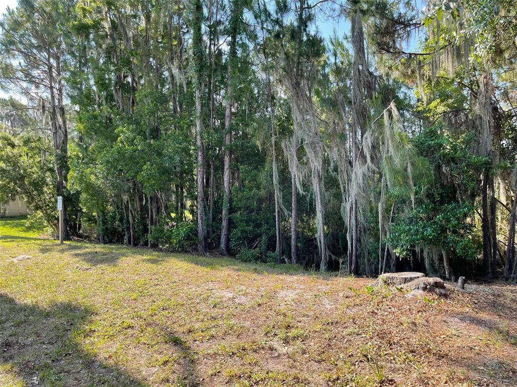 12021 EAGLE POINT CT