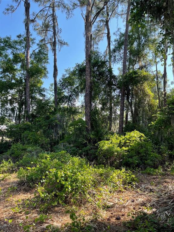 12021 EAGLE POINT CT