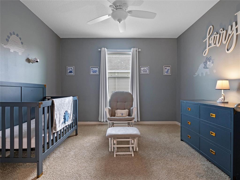 220 FLORIDA WILLOW AVE