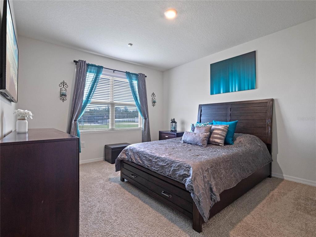 220 FLORIDA WILLOW AVE