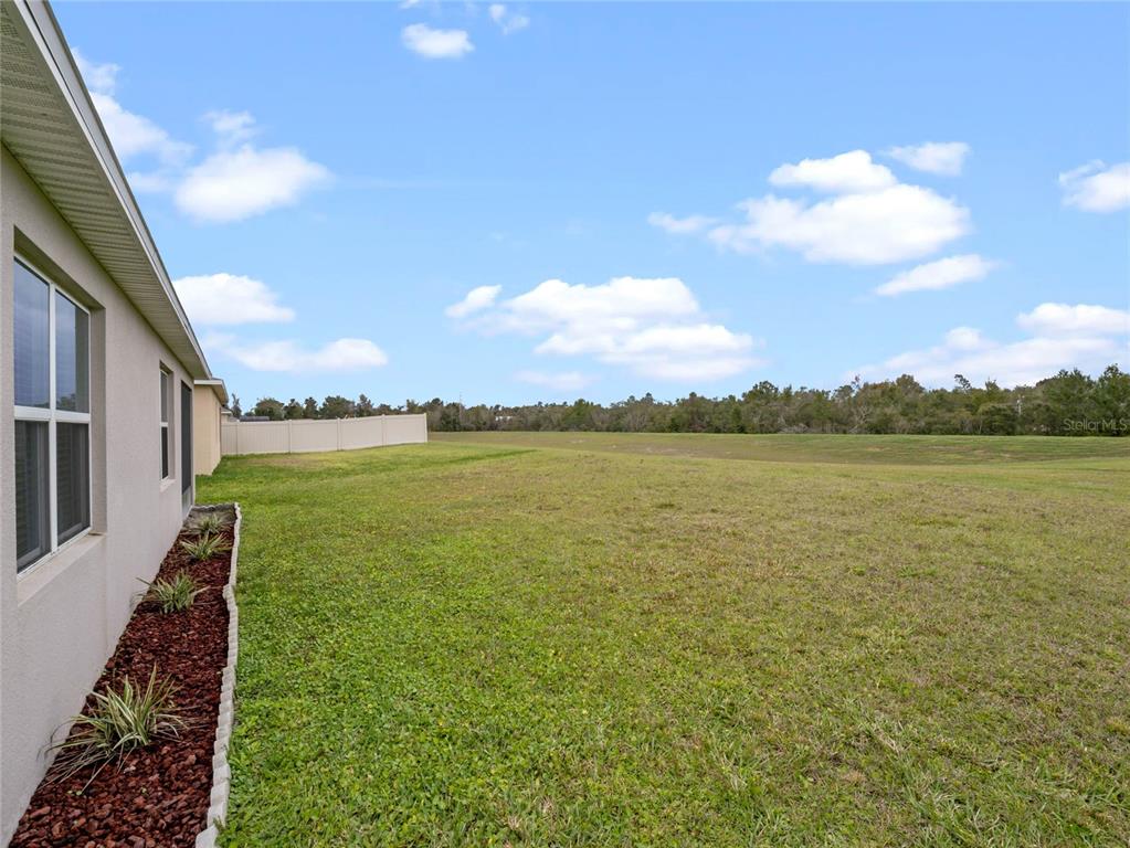 220 FLORIDA WILLOW AVE