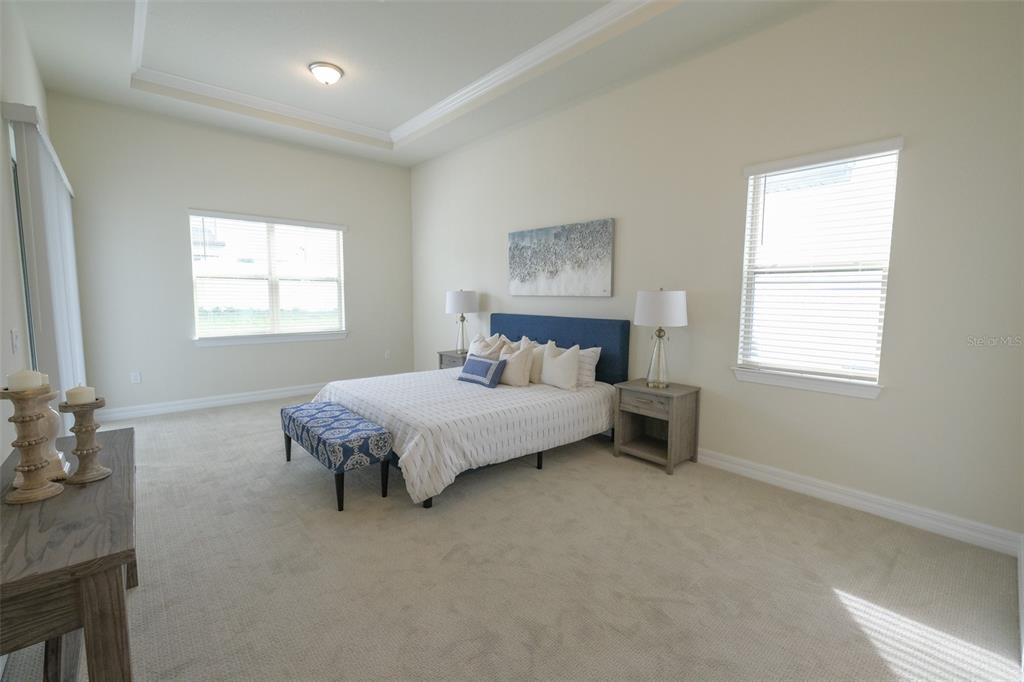 9225 HANGING VINE CT