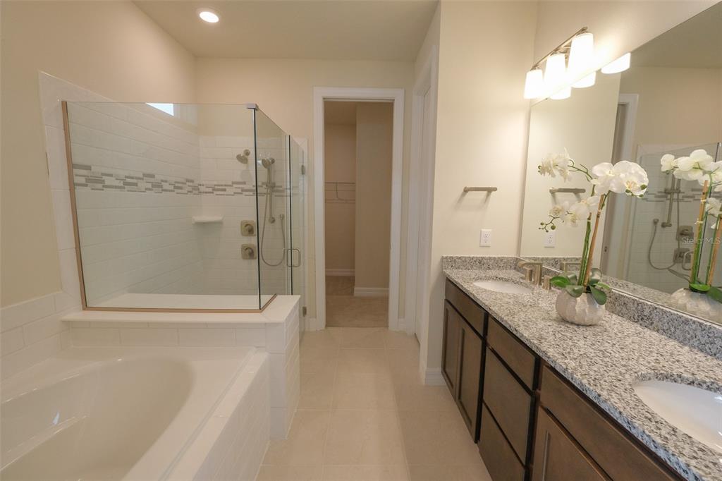 9225 HANGING VINE CT