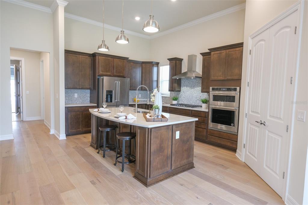 9225 HANGING VINE CT
