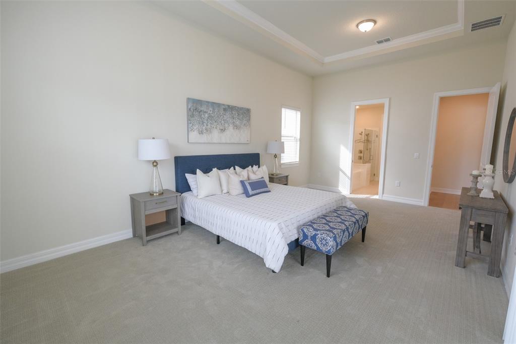 9225 HANGING VINE CT