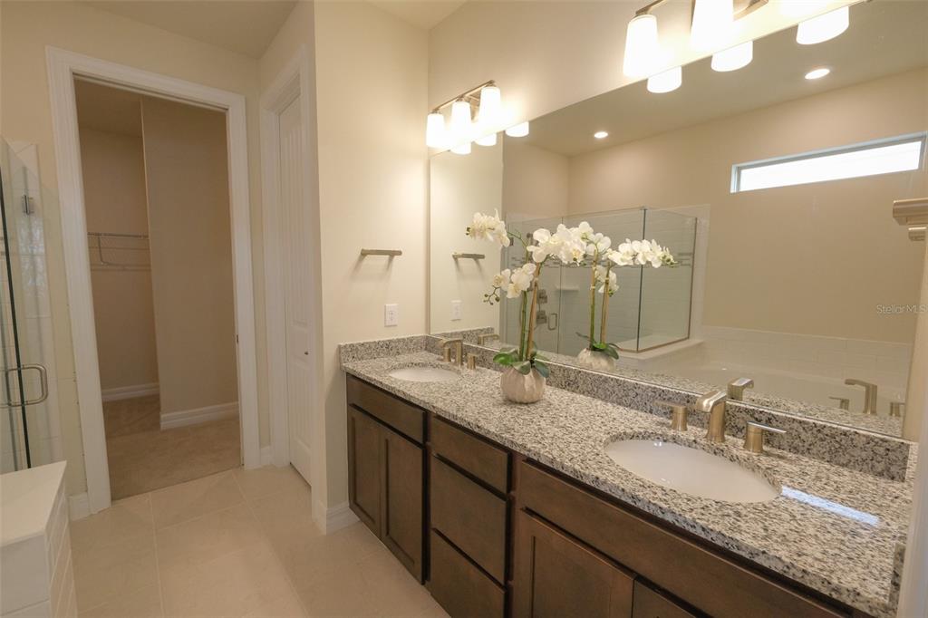 9225 HANGING VINE CT
