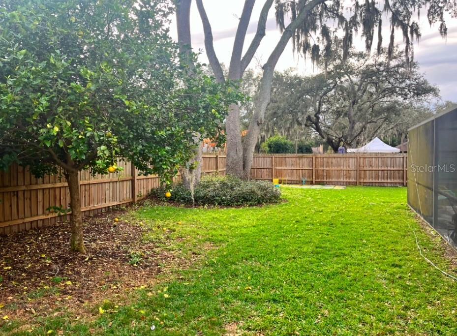 1329 HAMMOCK SHADE DR