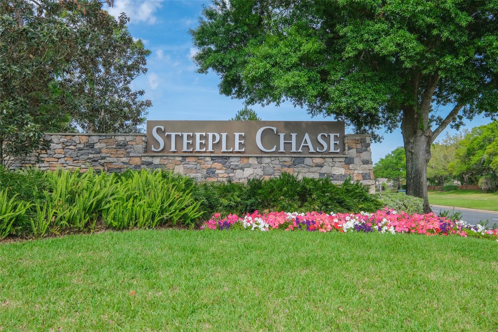 3851 GRASSLAND LOOP