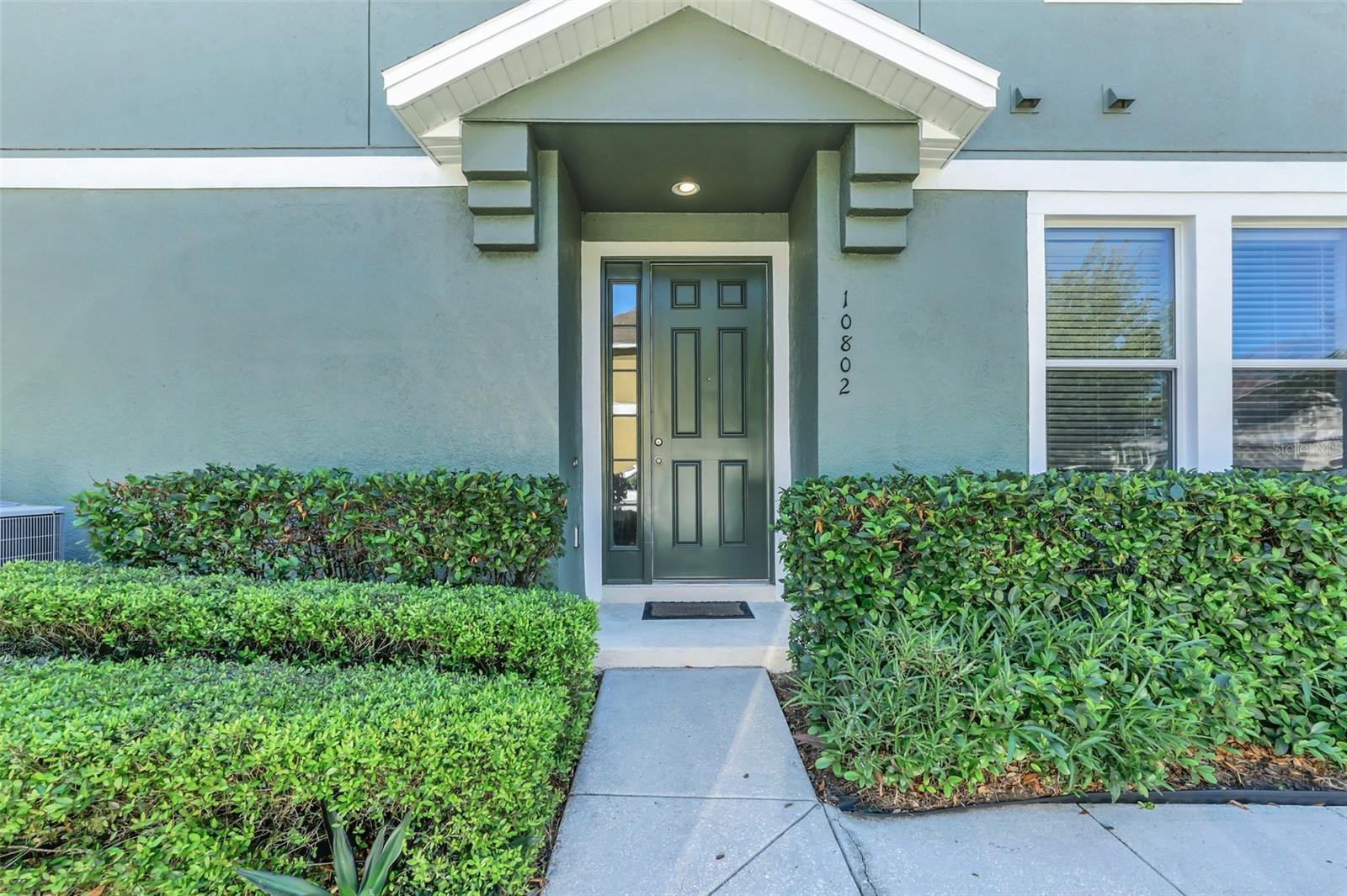 10802 ECLIPSE LILY WAY