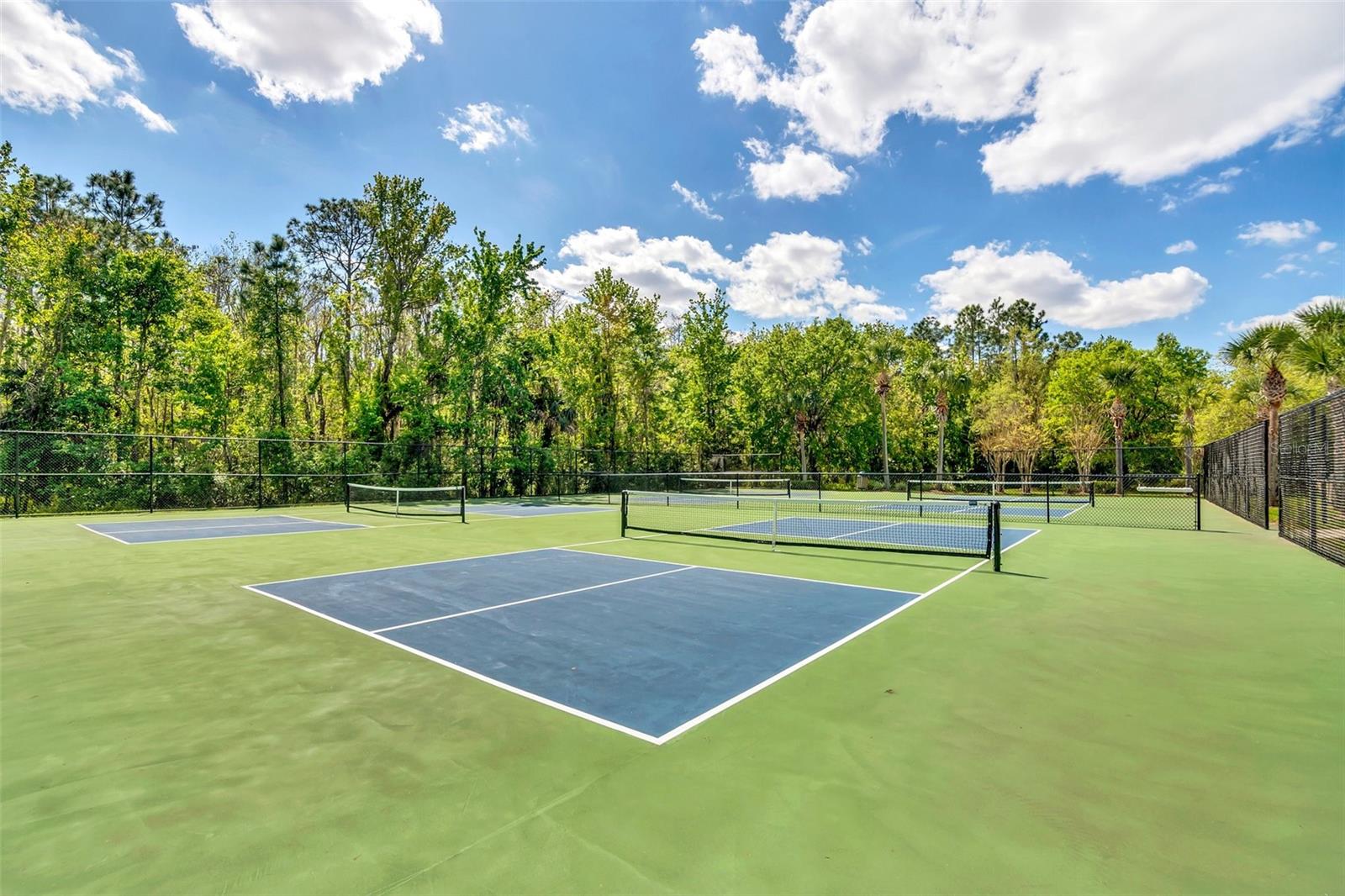 10802 ECLIPSE LILY WAY