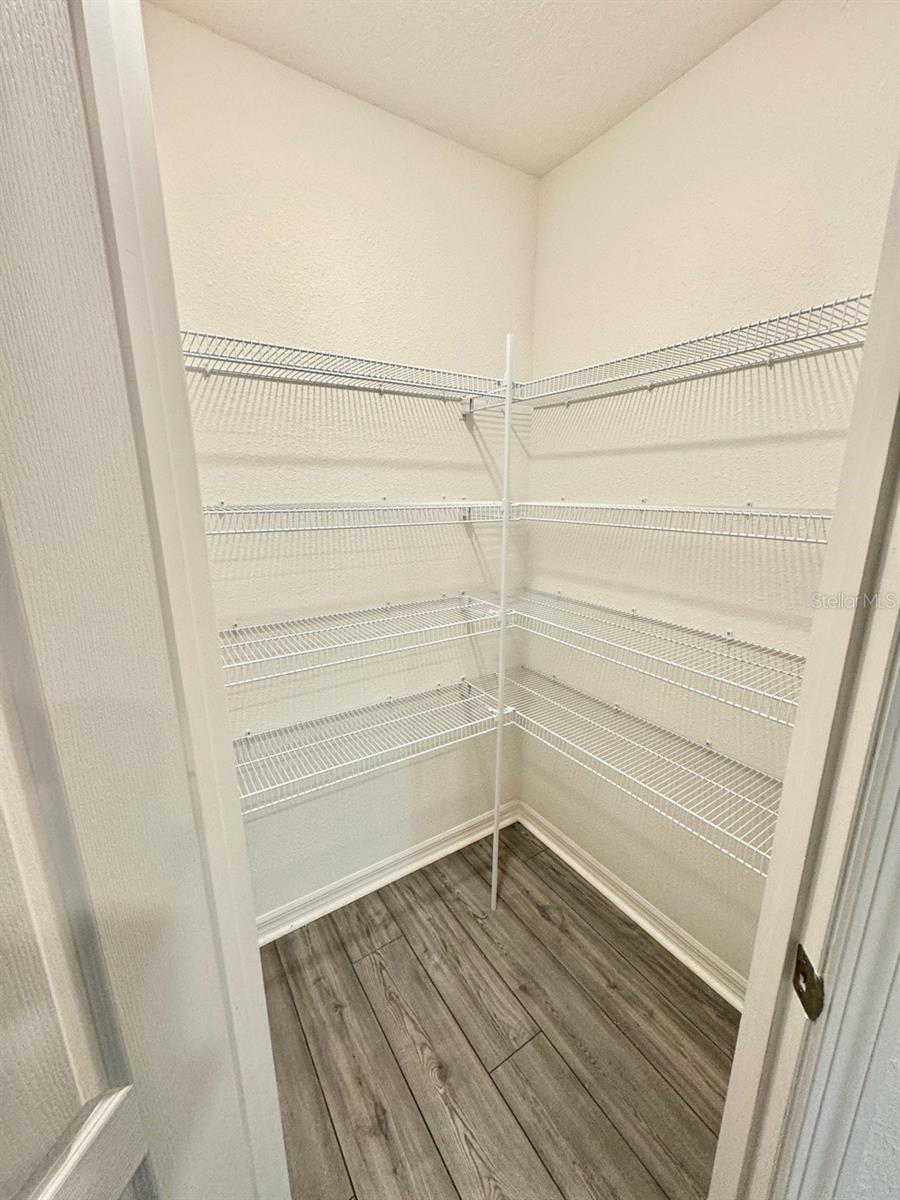 8 SLIPPER FLOWER PATH E