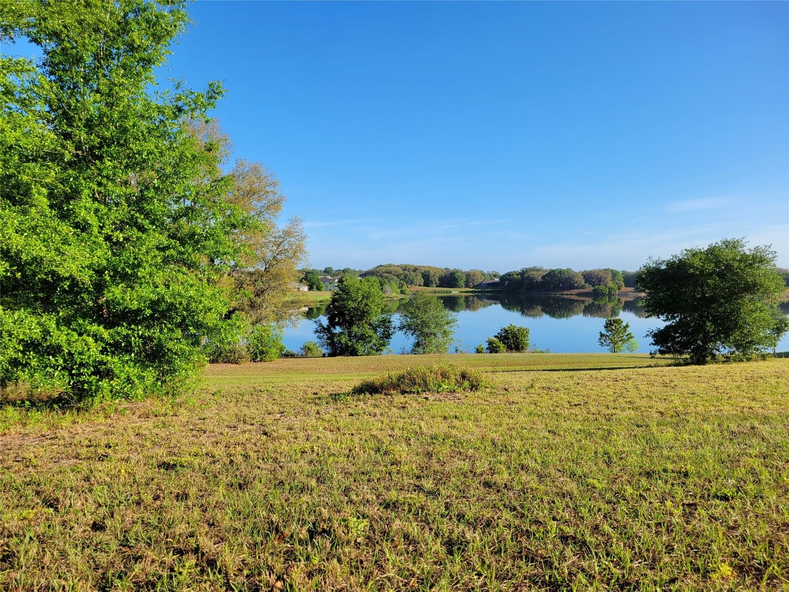 36717 BARRINGTON DR