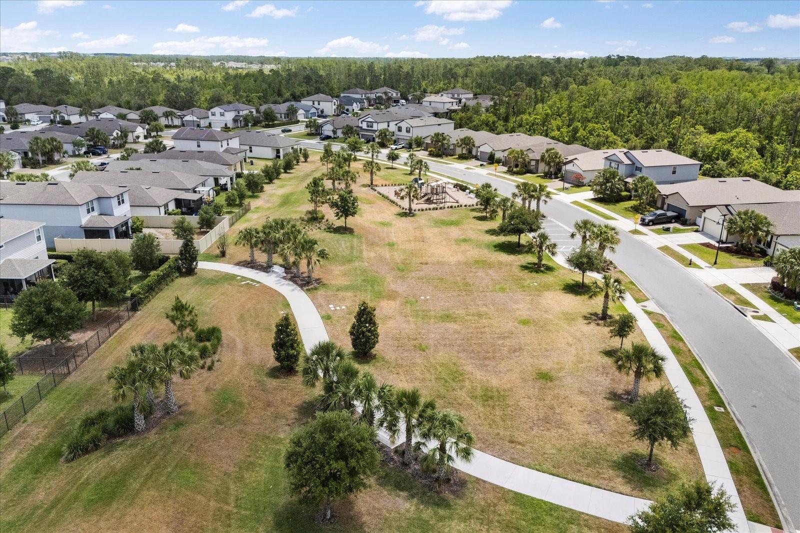 17500 BUTTERFLY PEA CT