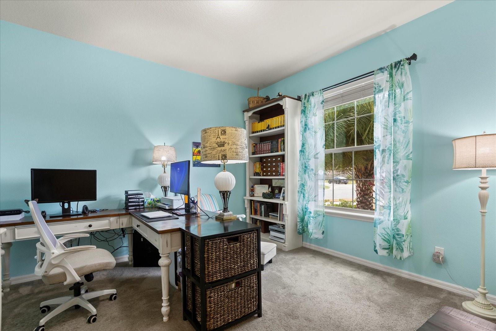 17500 BUTTERFLY PEA CT