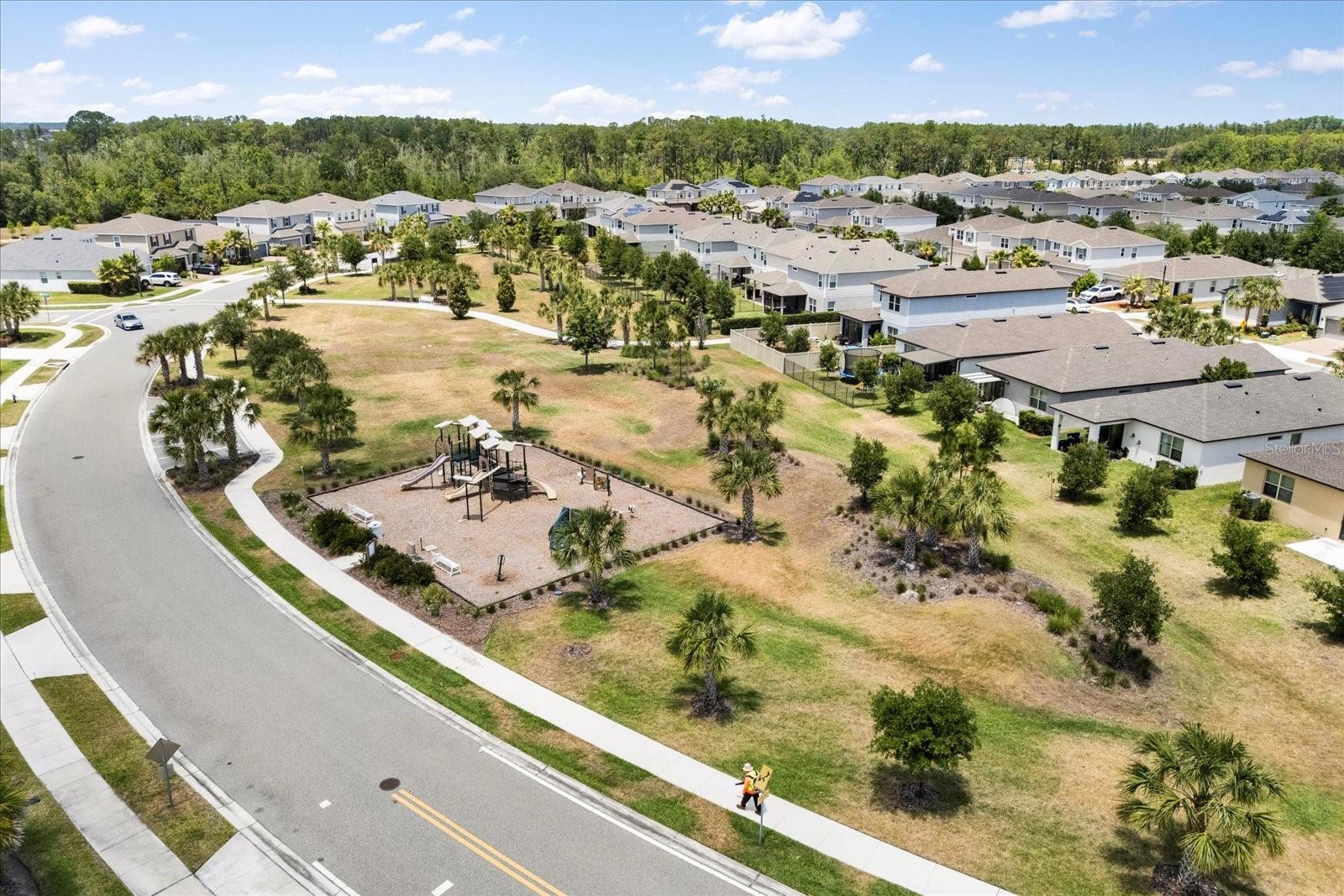 17500 BUTTERFLY PEA CT