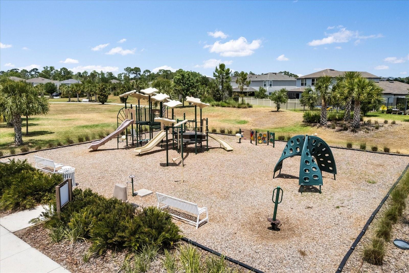 17500 BUTTERFLY PEA CT