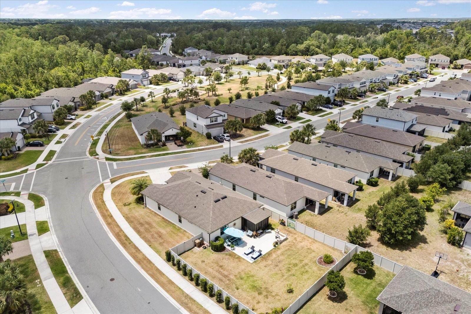 17500 BUTTERFLY PEA CT