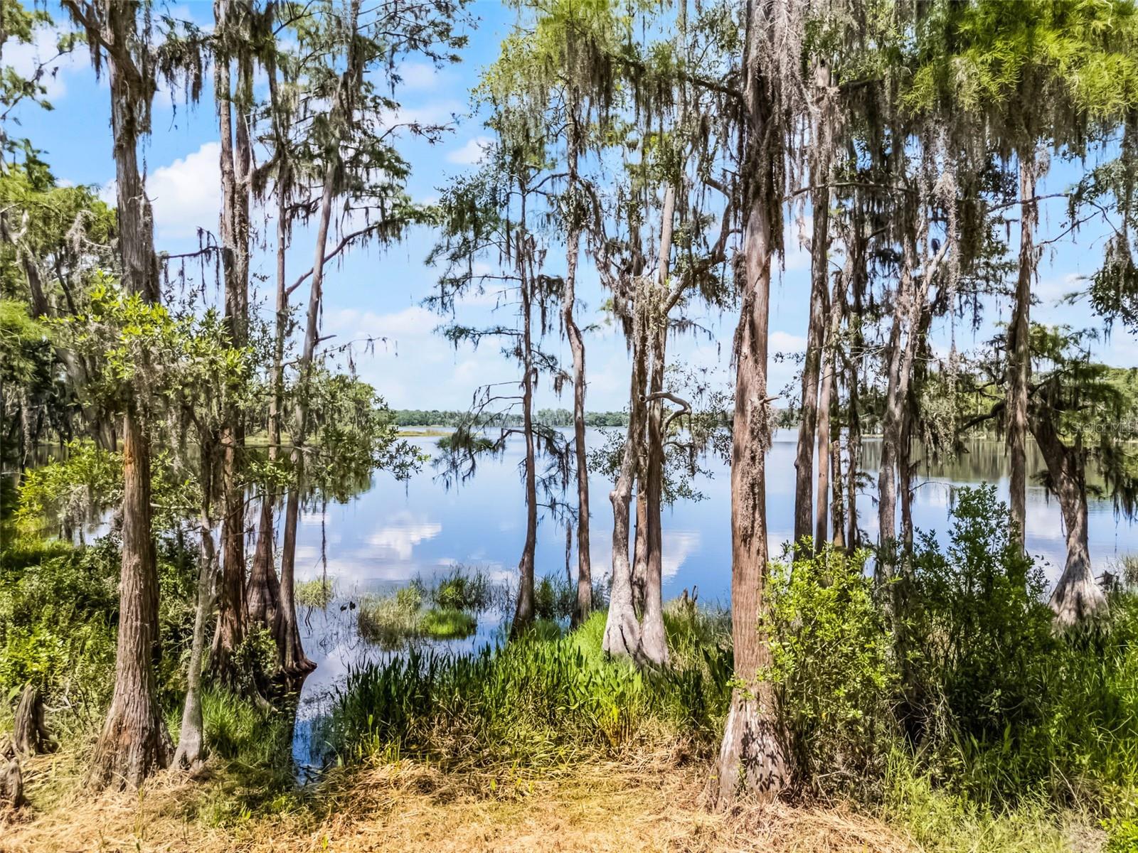 9642 FLORIDA BOYS RANCH RD