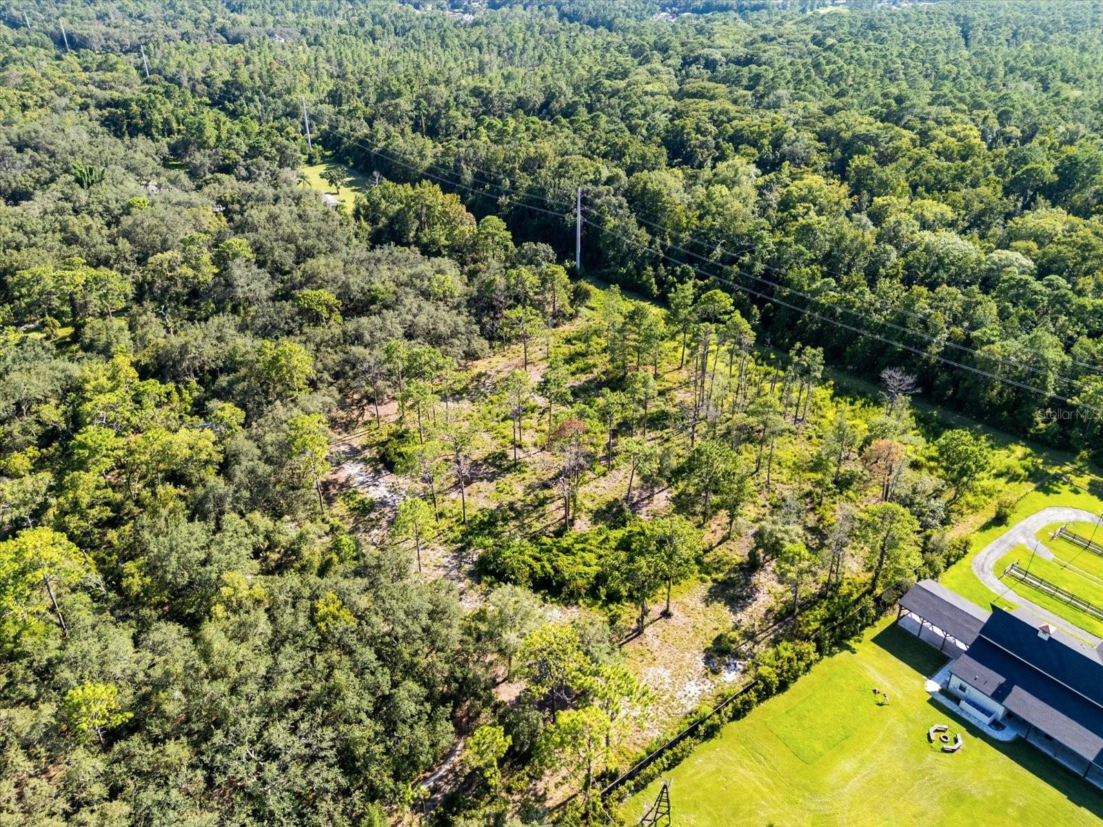MARKHAM WOODS RD