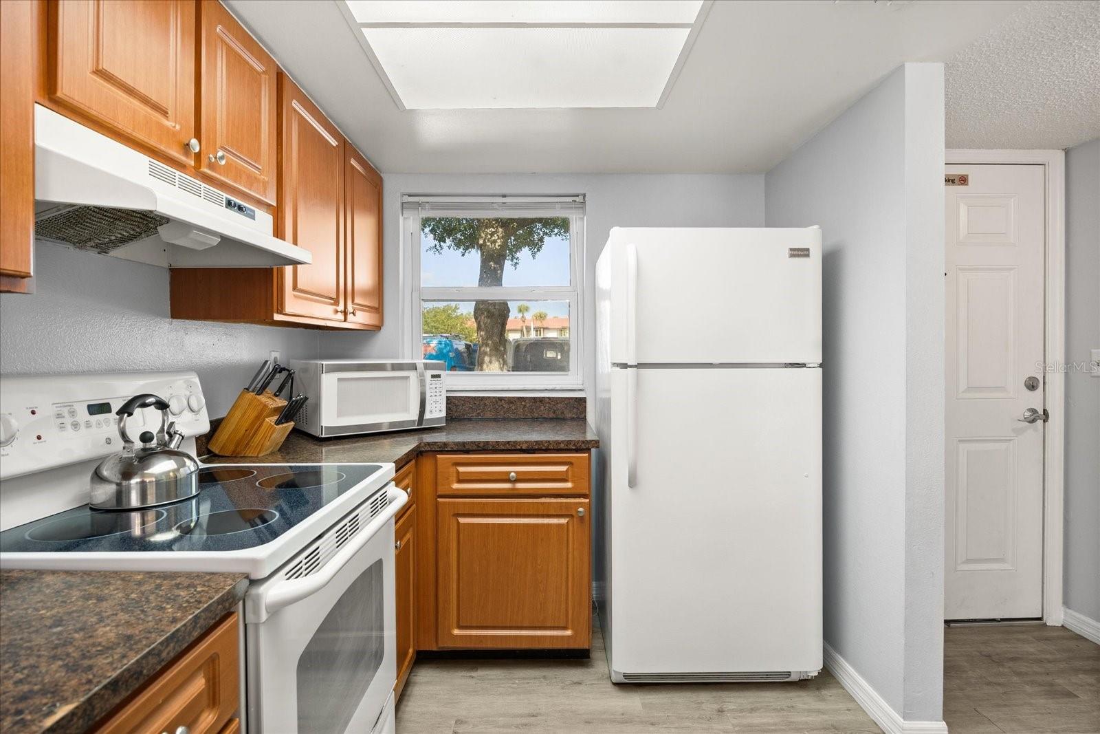 3118 MAGIC KINGDOM CT