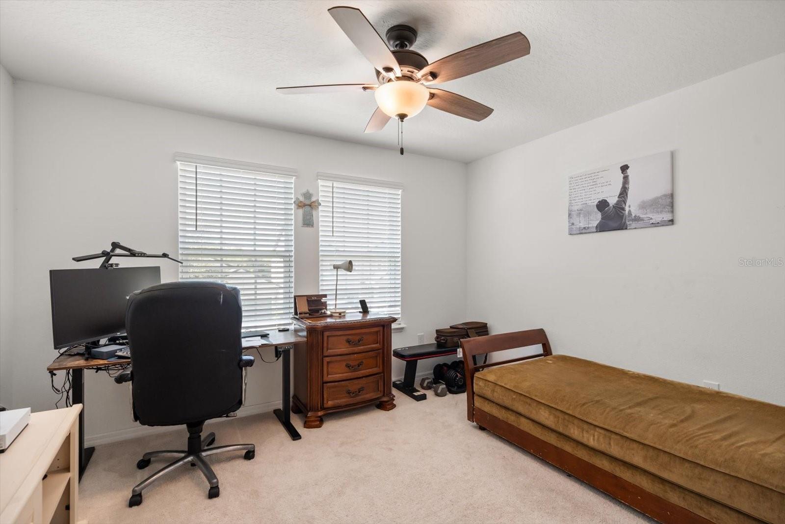 3447 FEATHERGRASS CT