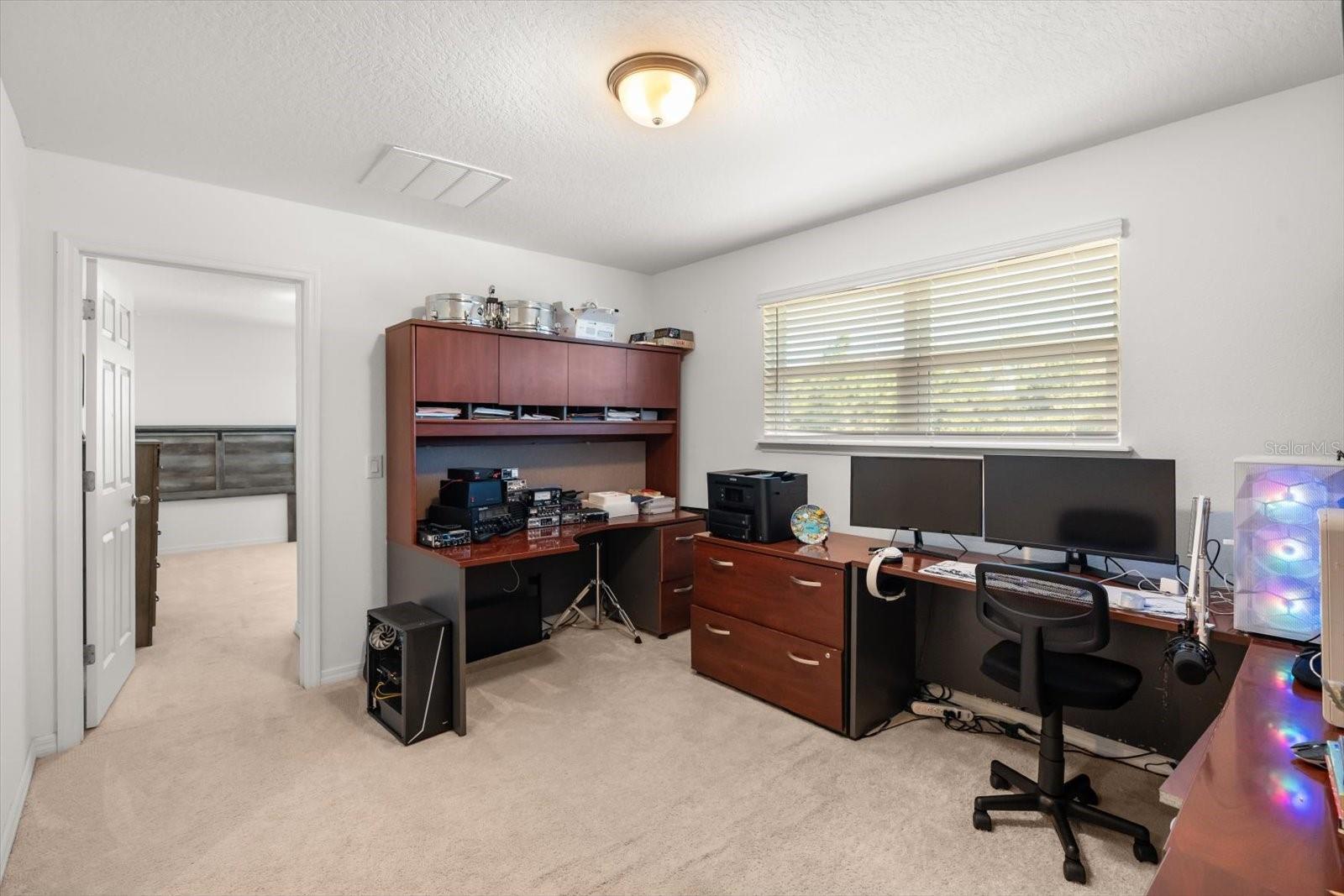 3447 FEATHERGRASS CT