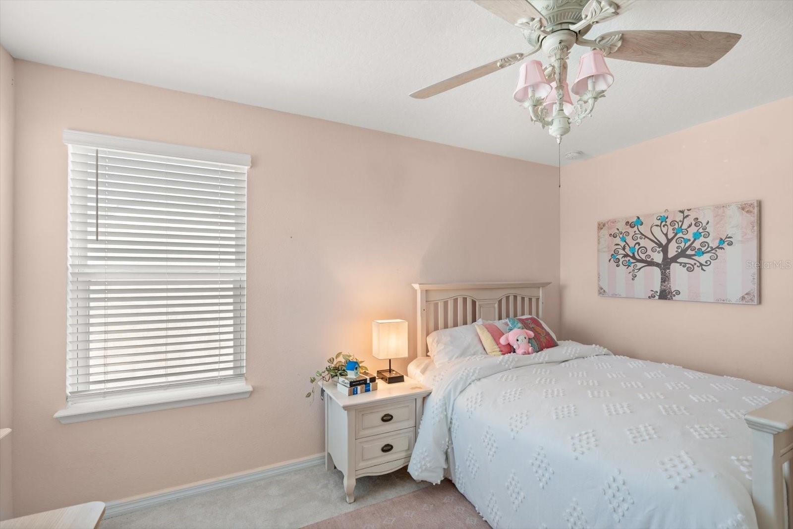 3447 FEATHERGRASS CT