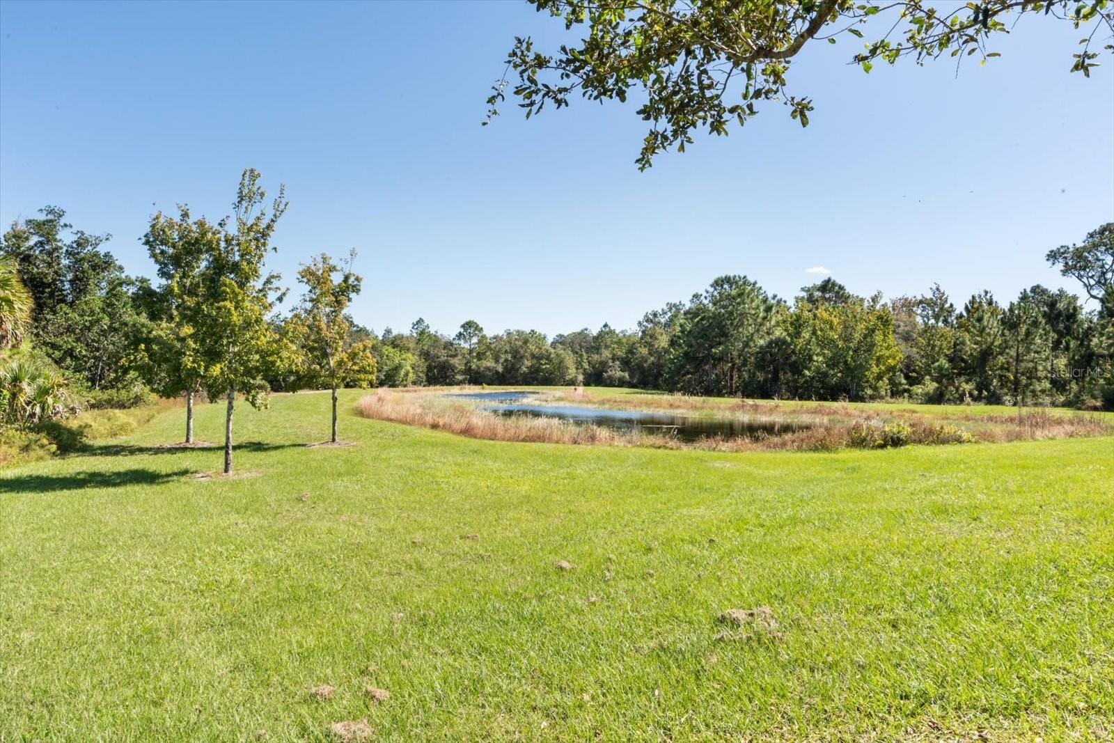 3447 FEATHERGRASS CT