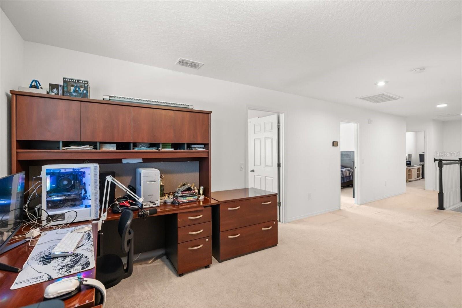 3447 FEATHERGRASS CT