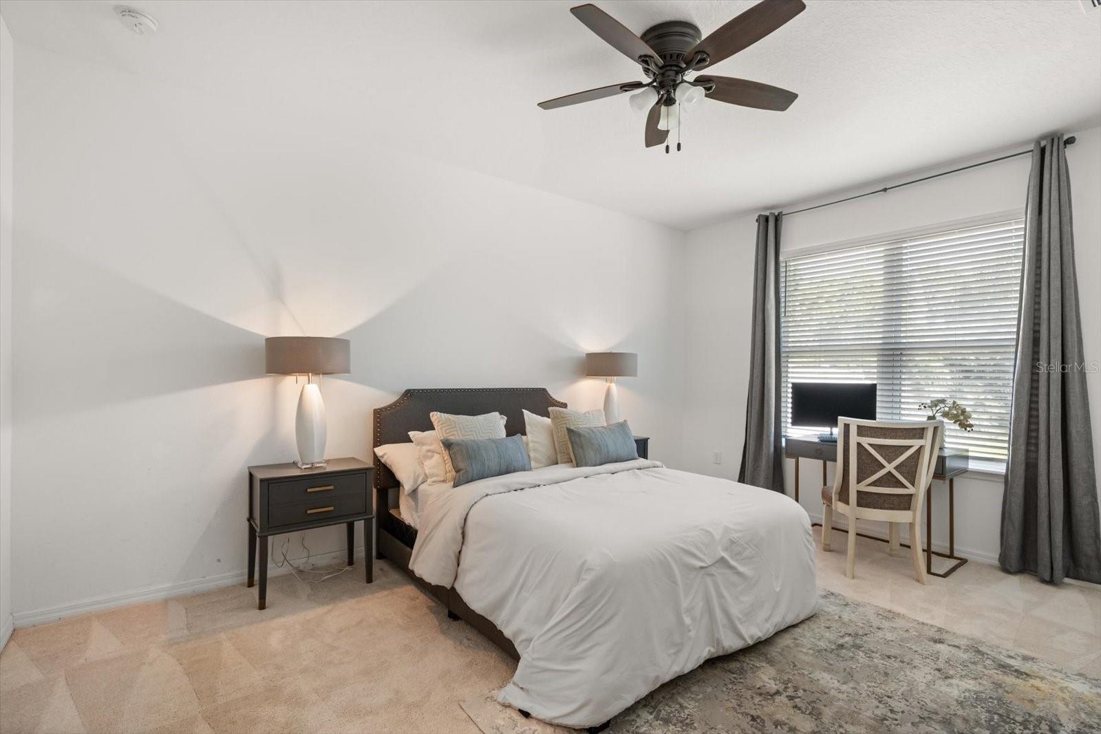 3447 FEATHERGRASS CT