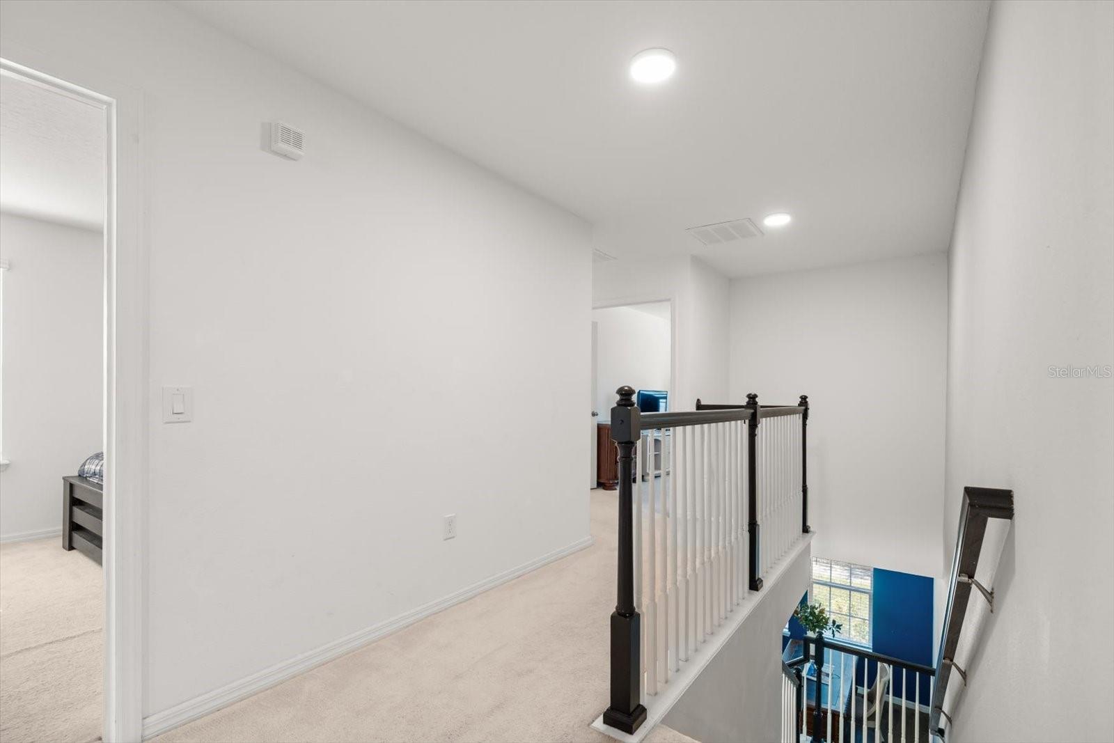 3447 FEATHERGRASS CT