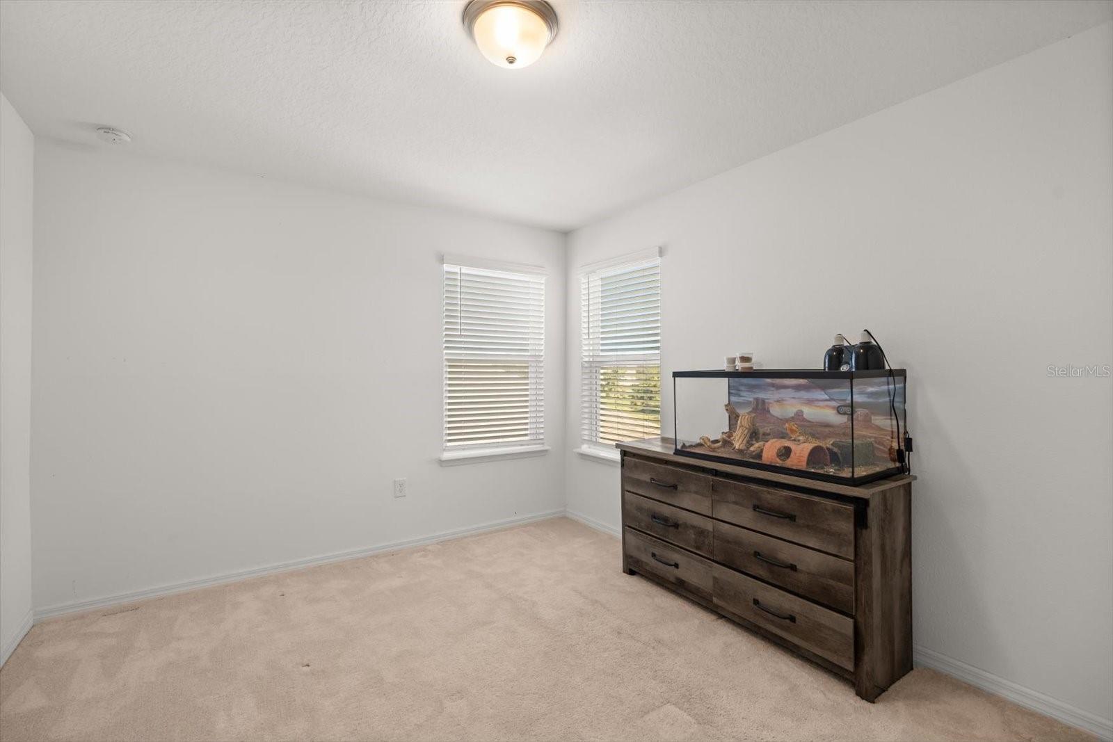 3447 FEATHERGRASS CT