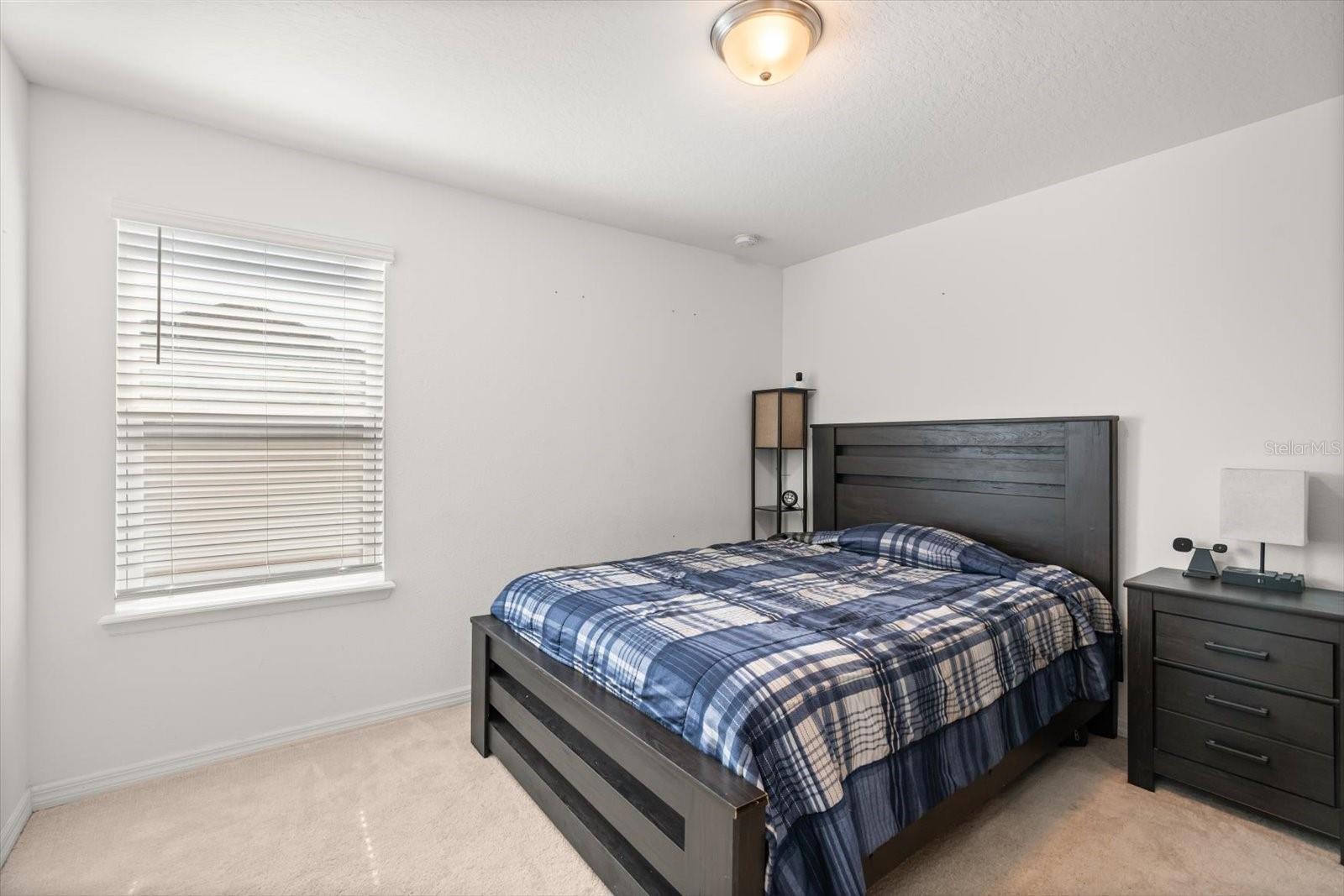 3447 FEATHERGRASS CT