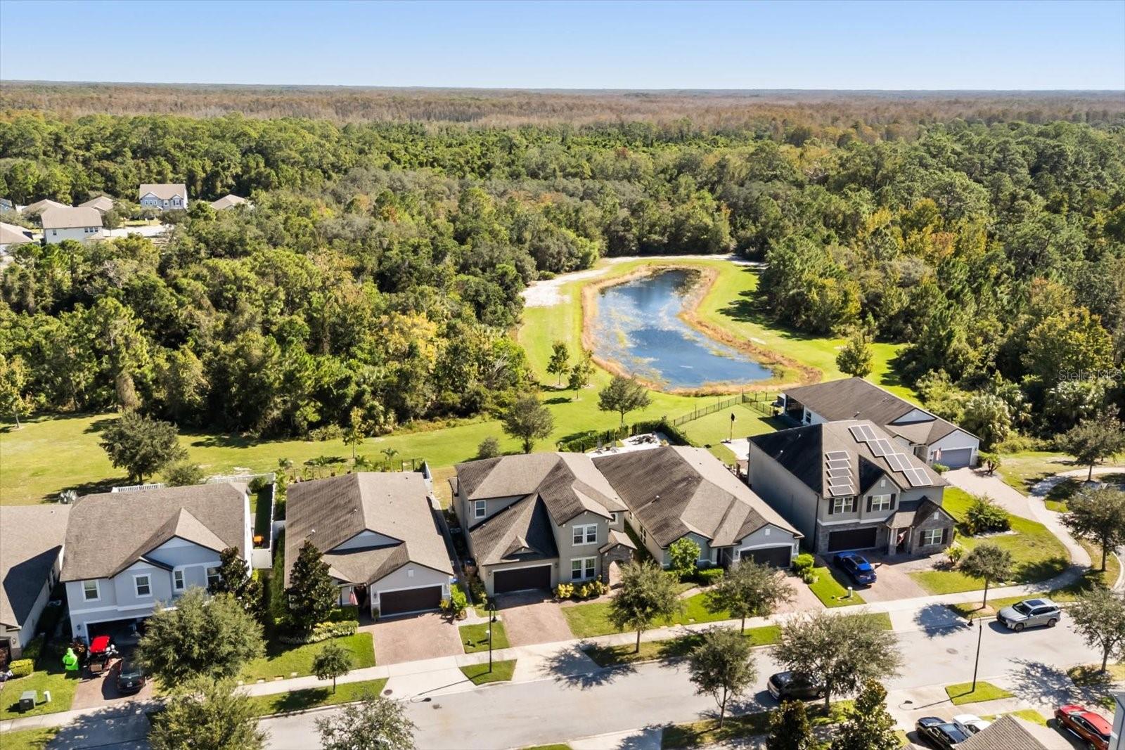 3447 FEATHERGRASS CT