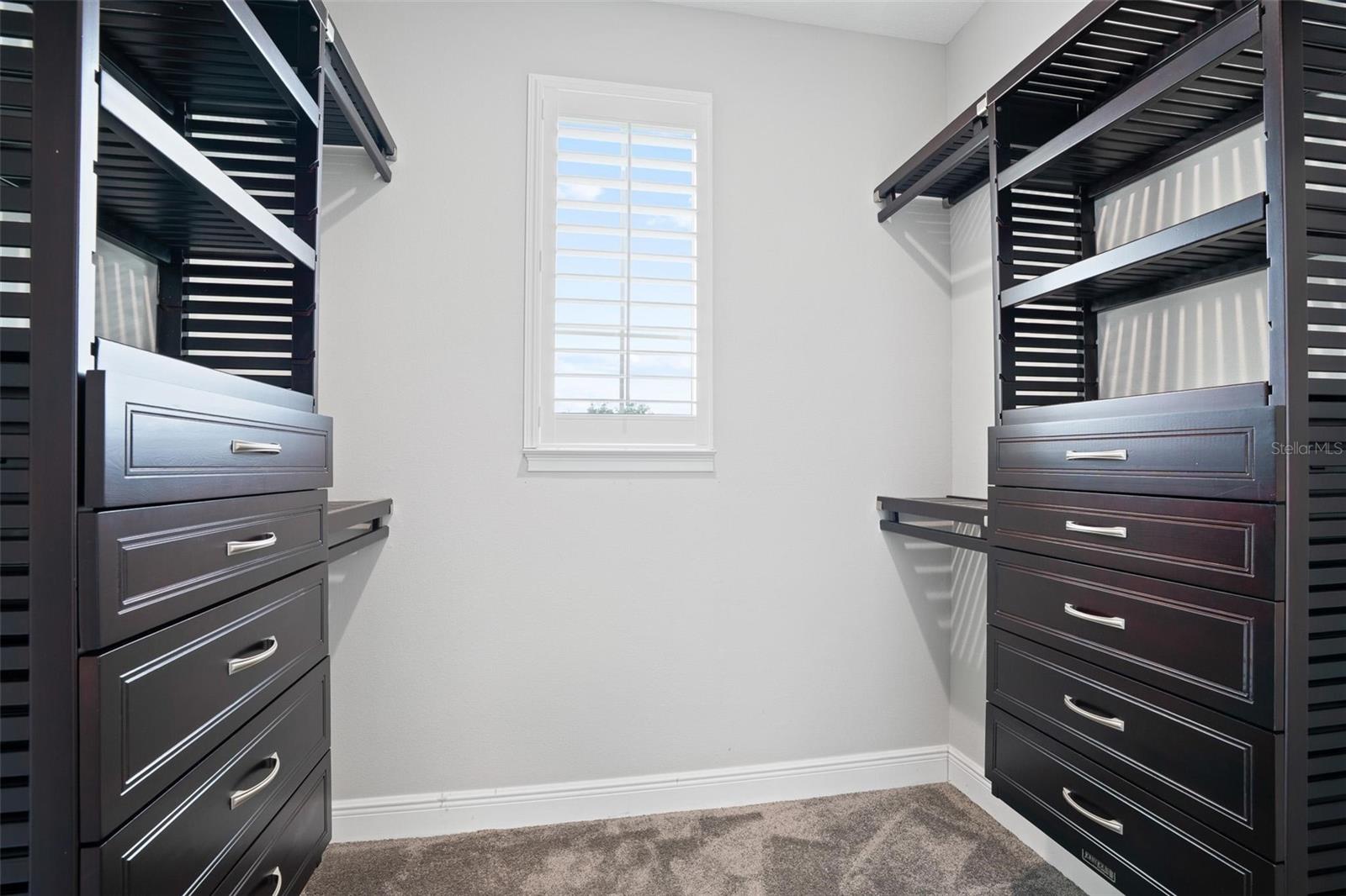 12530 CLIMBING VINE CT