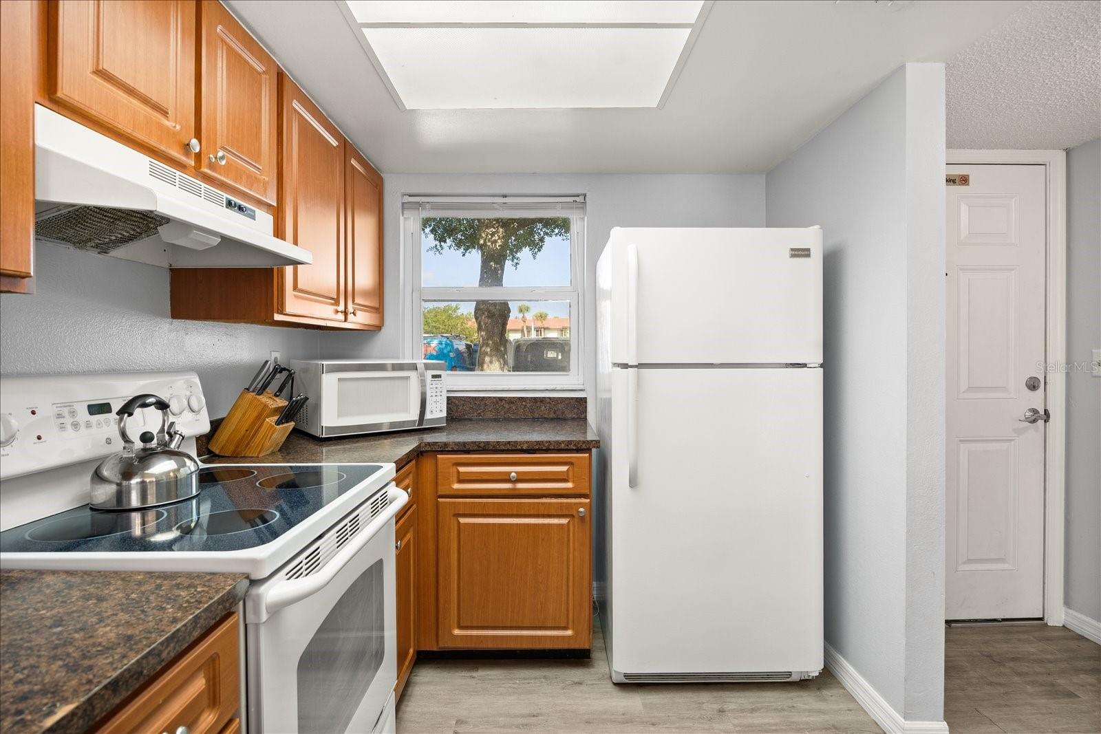 3118 MAGIC KINGDOM CT