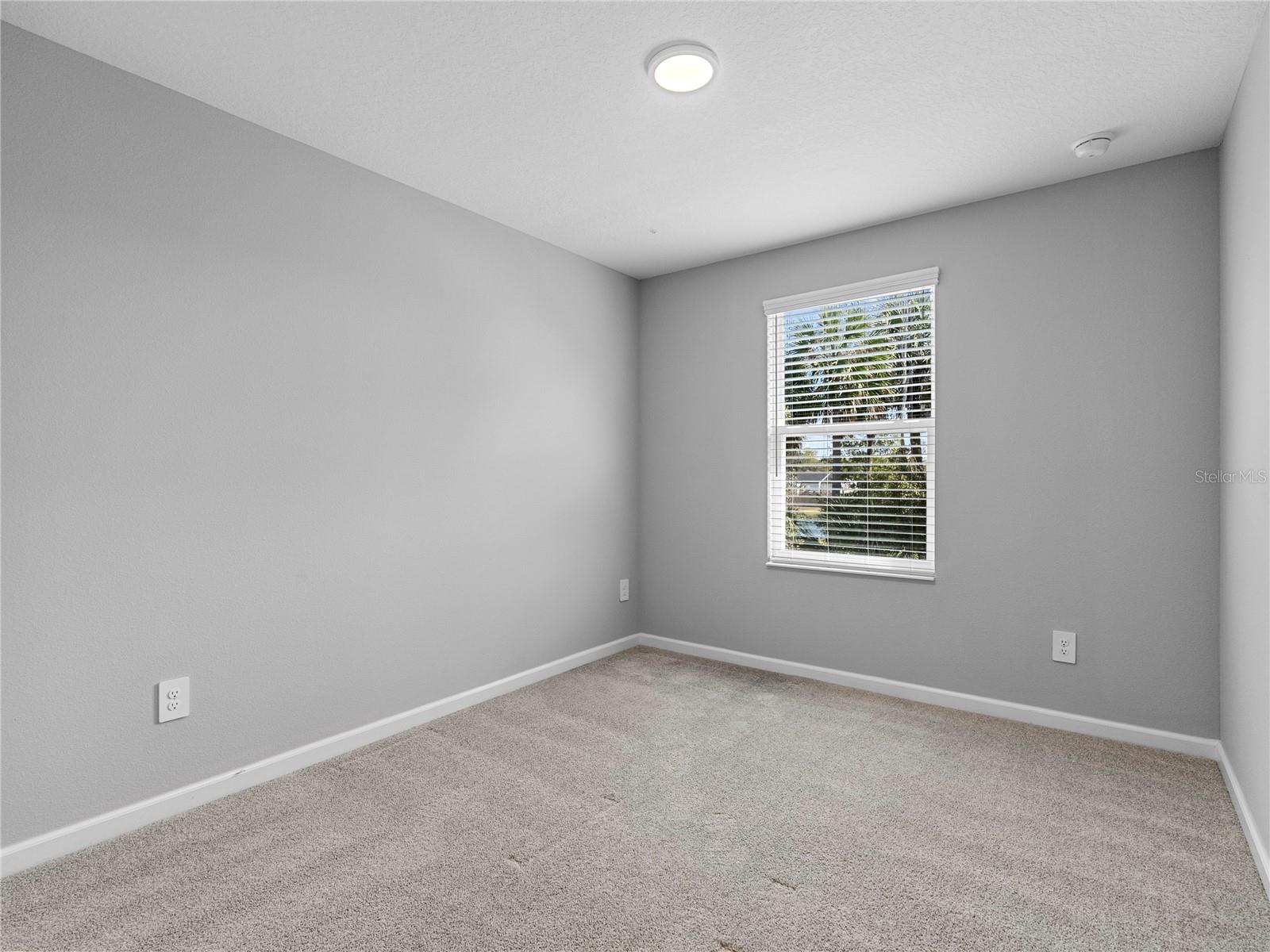 463 CAPE HONEYSUCKLE PL