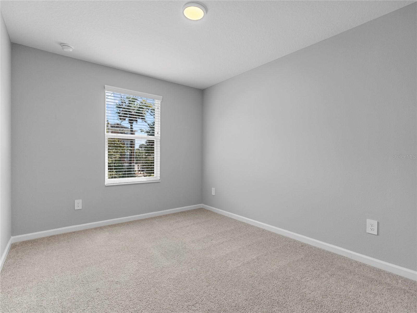 463 CAPE HONEYSUCKLE PL