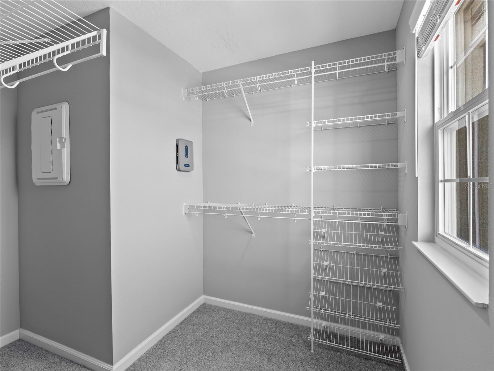 463 CAPE HONEYSUCKLE PL