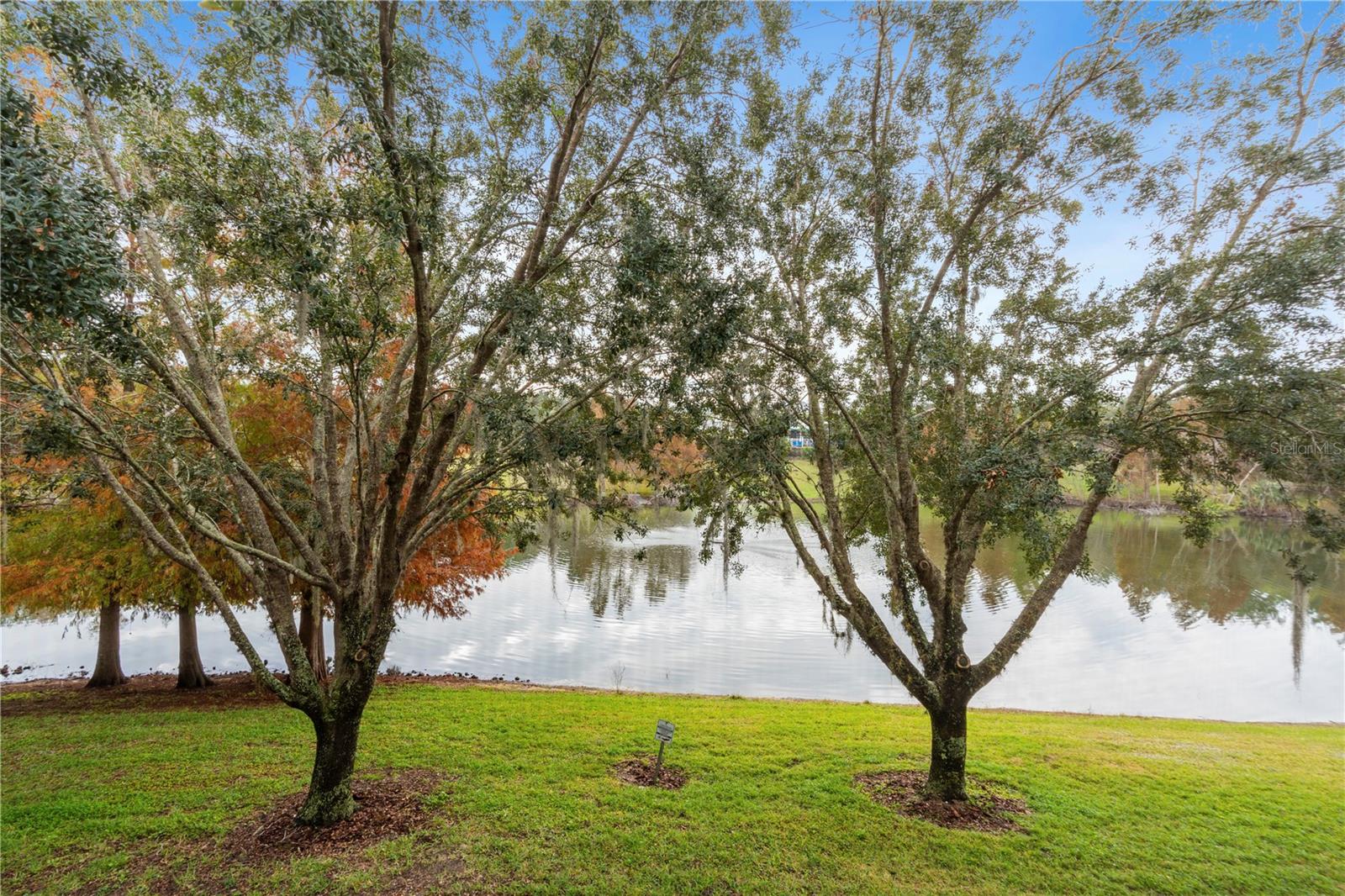 911 NEW PROVIDENCE #911