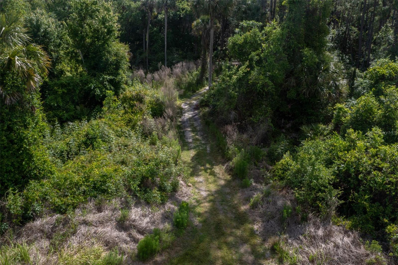 1851 MAYTOWN RD