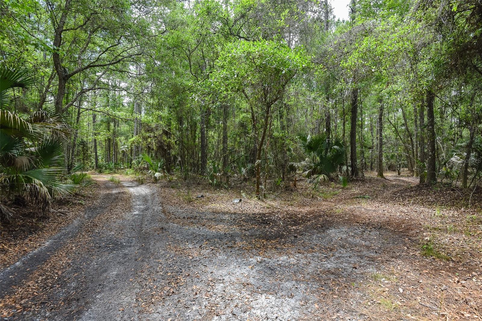 1851 MAYTOWN RD