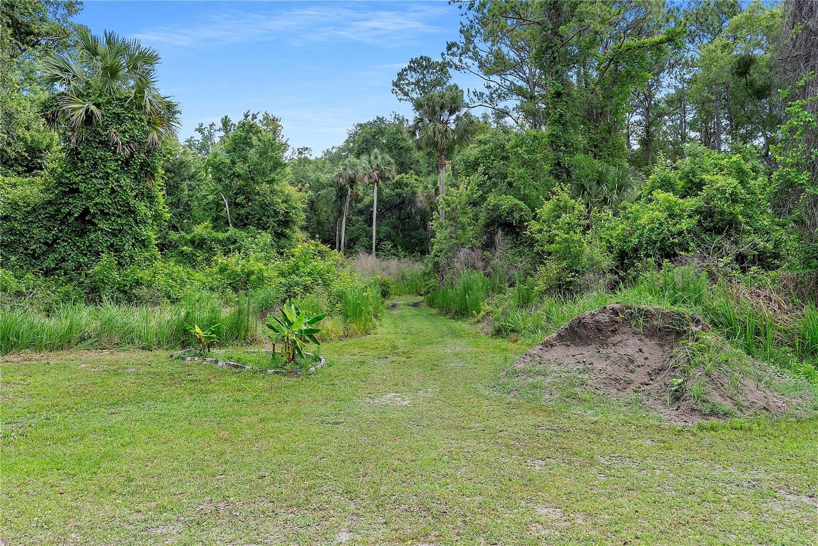 1851 MAYTOWN RD