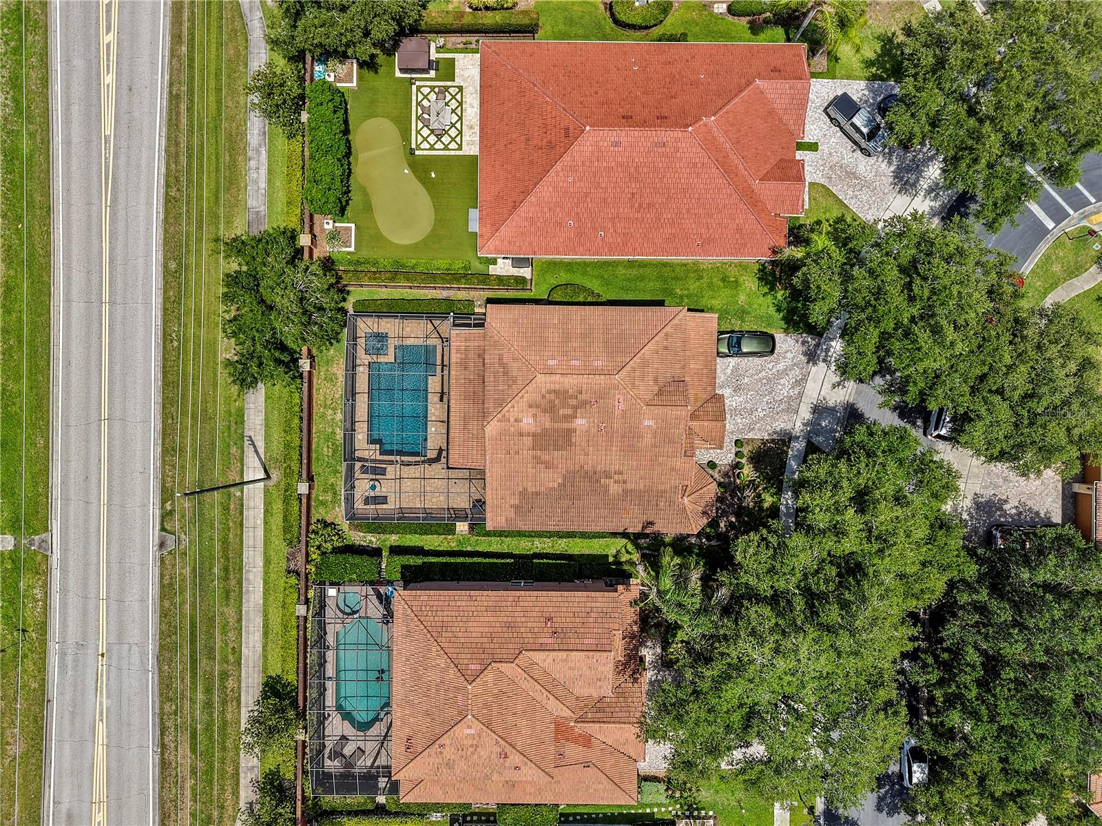 446 ANESSA ROSE LOOP