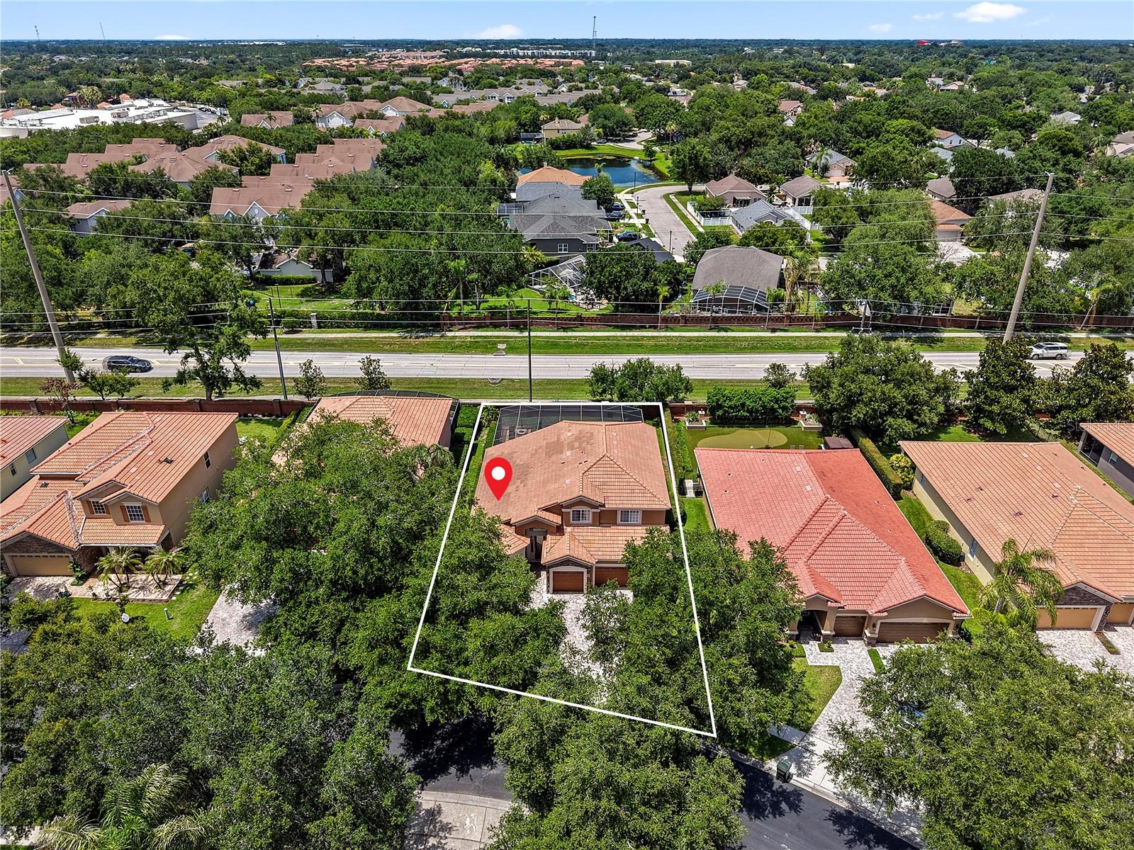 446 ANESSA ROSE LOOP