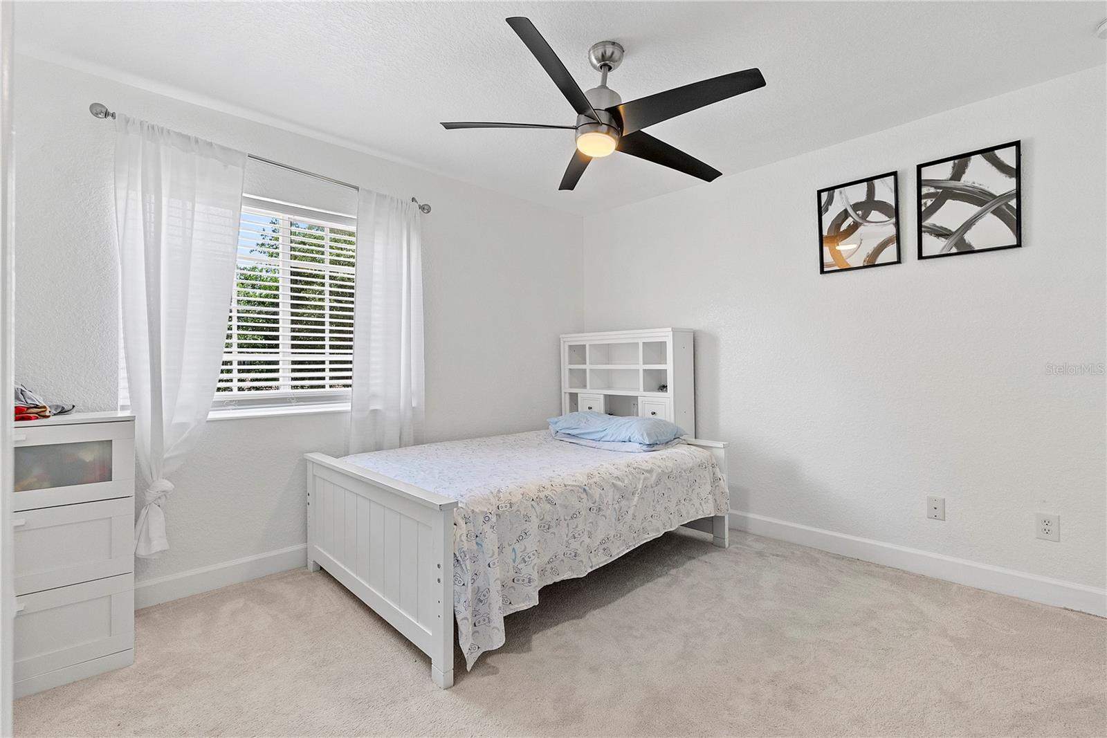 446 ANESSA ROSE LOOP