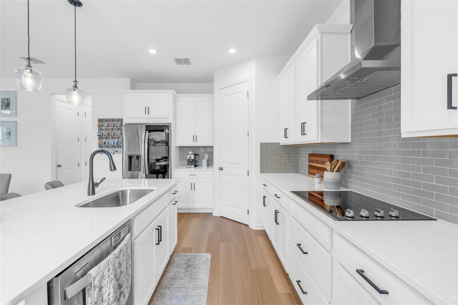 2215 BLUE SALVIA ST