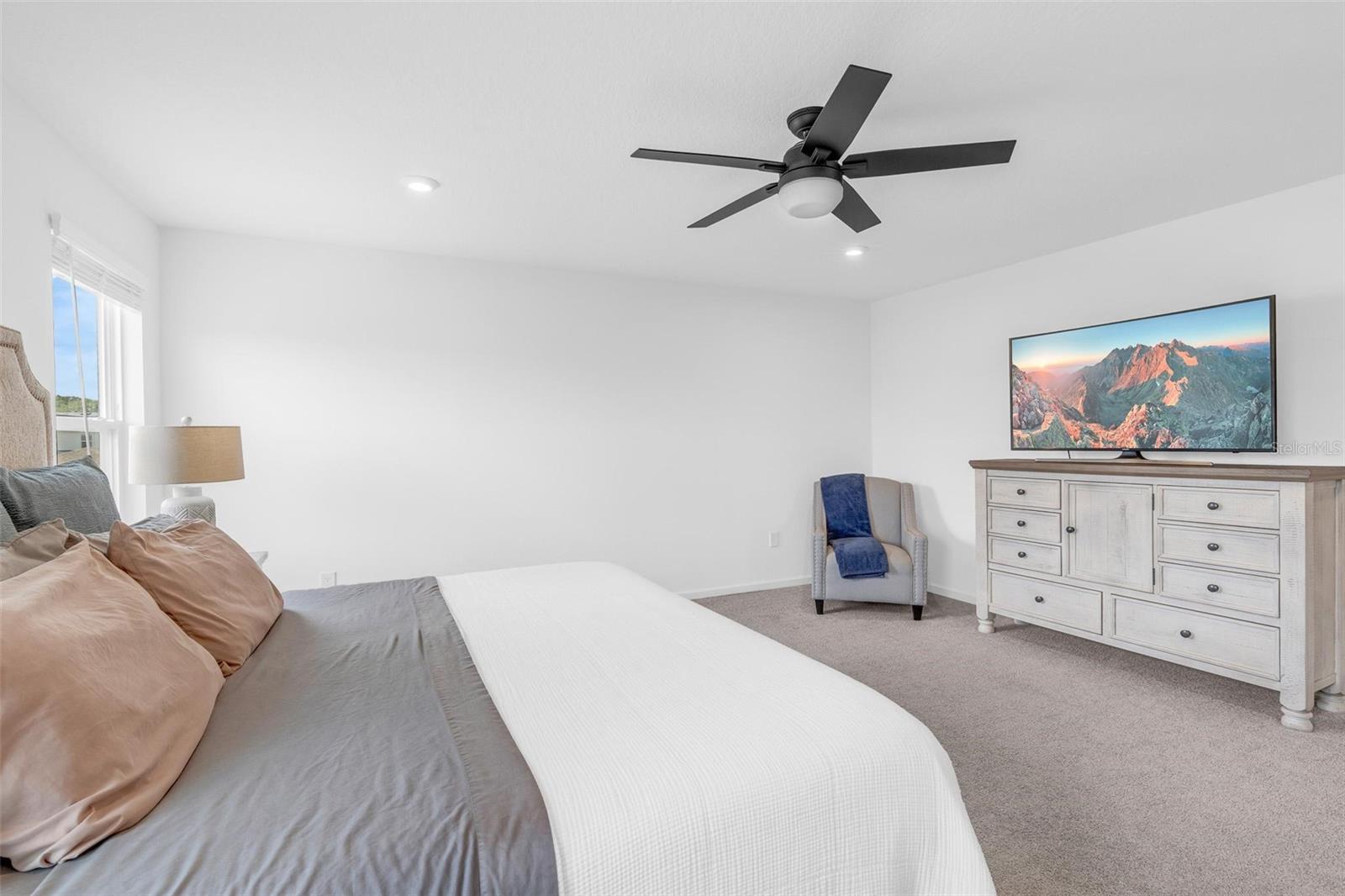 2215 BLUE SALVIA ST